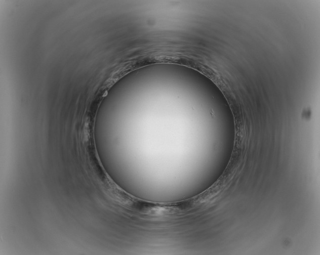 X0000091290323200709071037