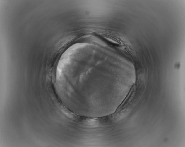 X0000091290325200709071037