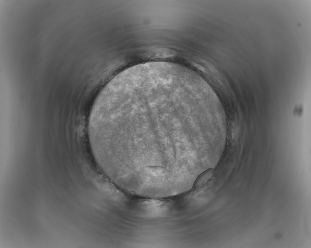 X0000091290326200709071037