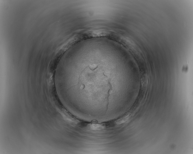 X0000091290327200709071037