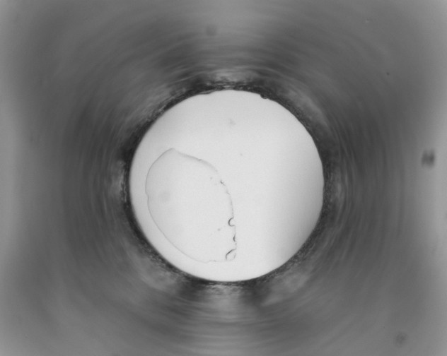 X0000091290328200709071037