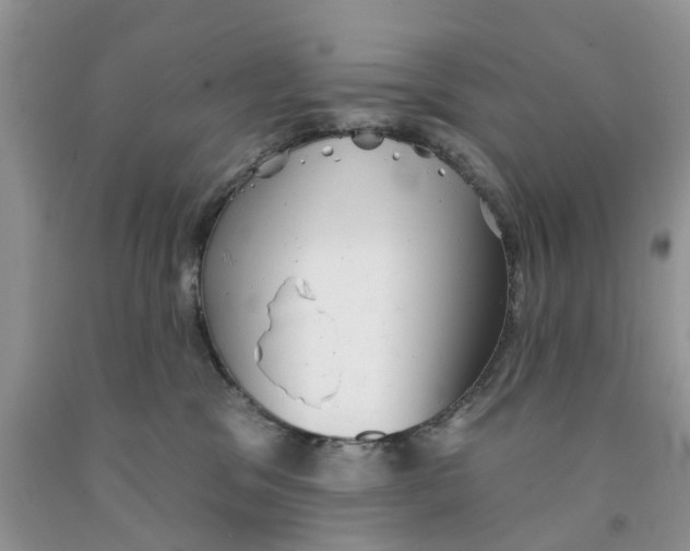 X0000091290329200709071037