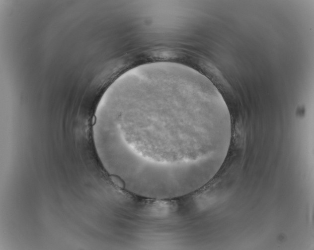 X0000091290330200709071037