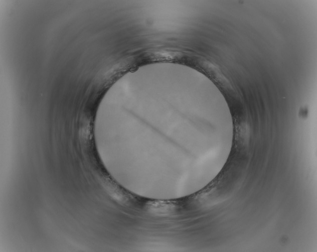 X0000091290331200709071037