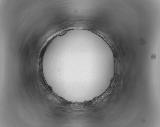 X0000091290338200709071036