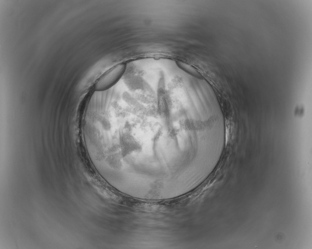 X0000091290339200709071036