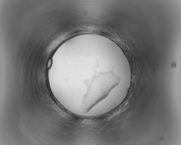 X0000091290341200709071036