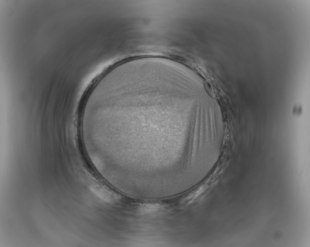 X0000091290342200709071036