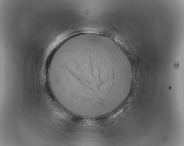 X0000091290343200709071036