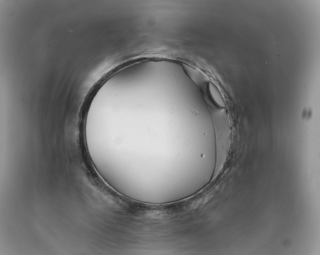 X0000091290344200709071036