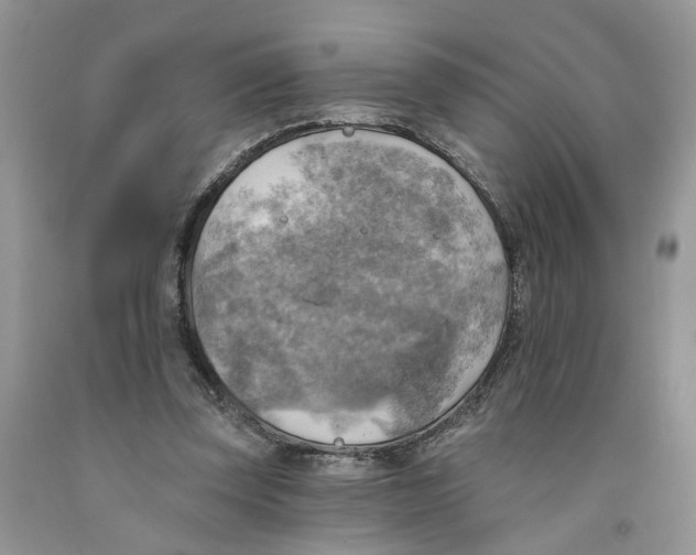 X0000091290347200709071036