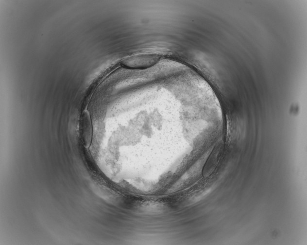 X0000091290348200709071037