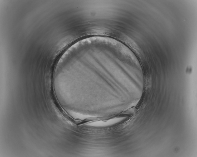 X0000091290349200709071037