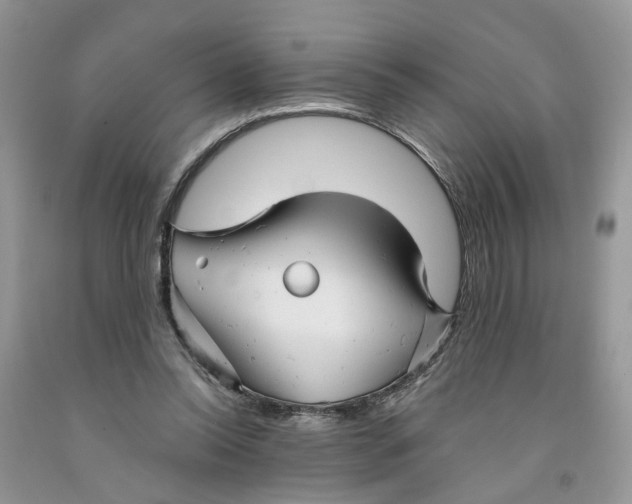 X0000091290350200709071037