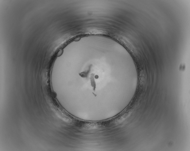 X0000091290351200709071037