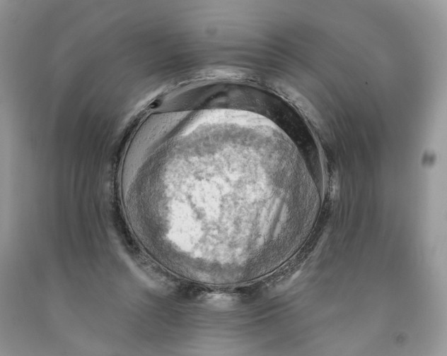 X0000091290352200709071037