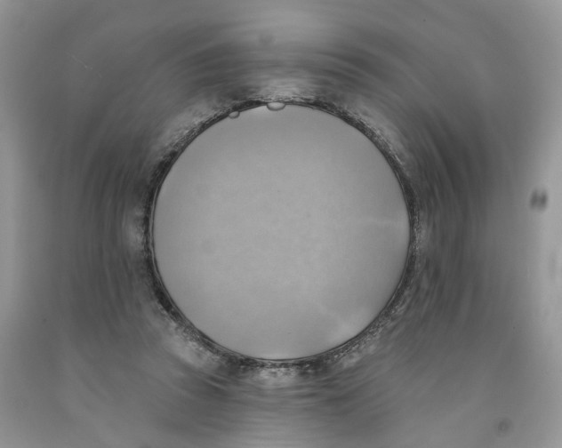 X0000091290353200709071037