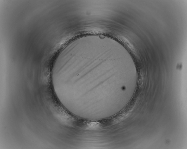 X0000091290355200709071037