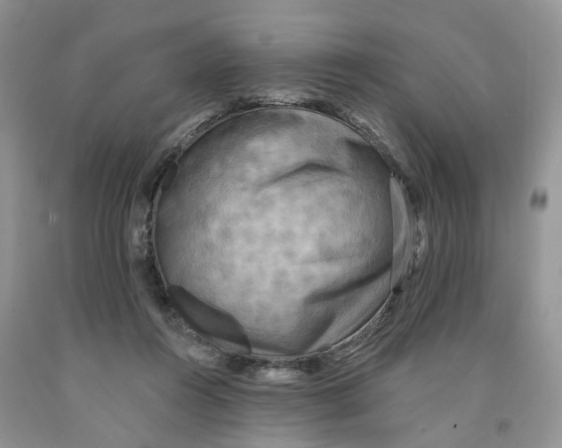 X0000091290360200709071037