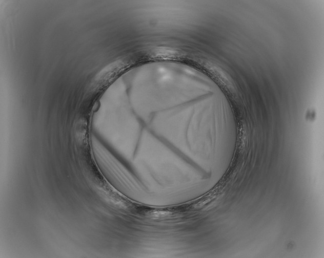 X0000091290361200709071037