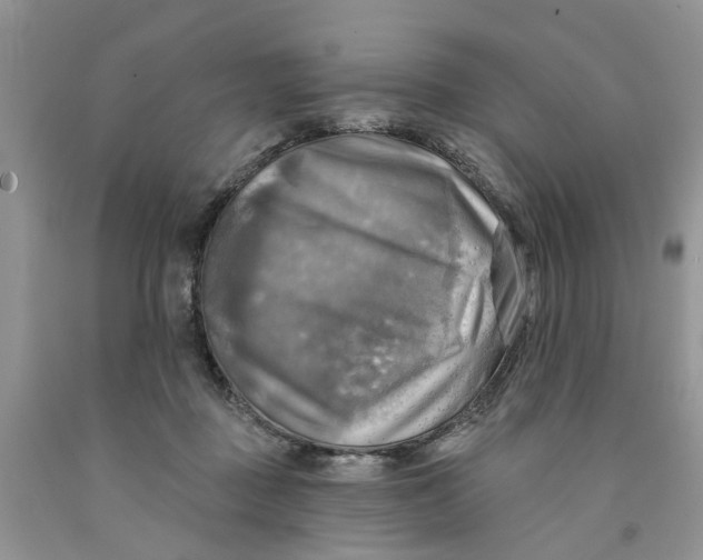 X0000091290363200709071037