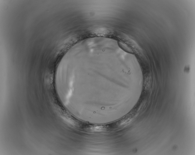 X0000091290365200709071037