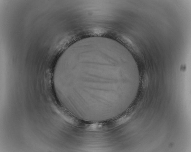 X0000091290366200709071037