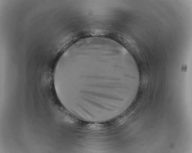 X0000091290367200709071037