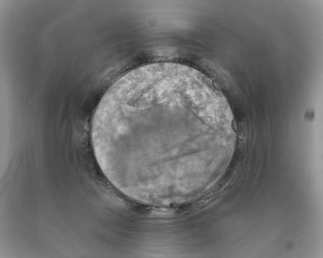 X0000091290369200709071037