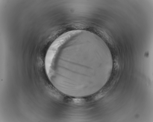 X0000091290371200709071037