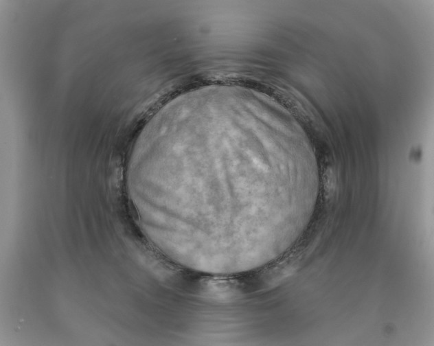 X0000091290372200709071037