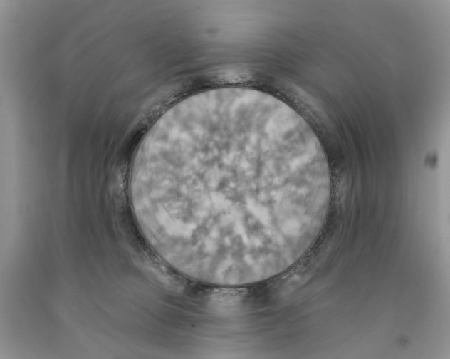 X0000091290373200709071037