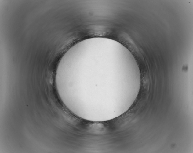 X0000091290374200709071037