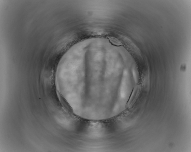 X0000091290376200709071037