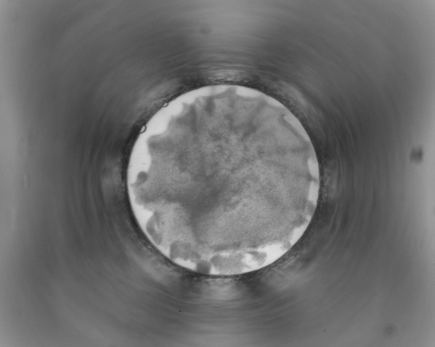 X0000091290377200709071037