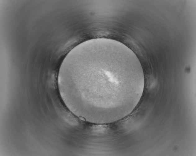 X0000091290378200709071037