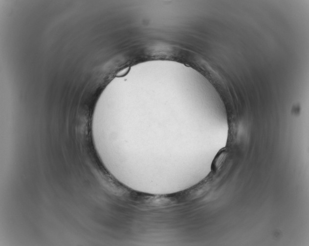 X0000091290379200709071037