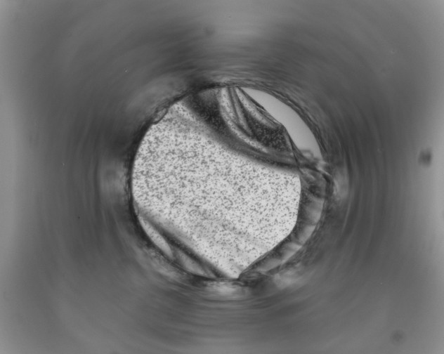 X0000091290380200709071037