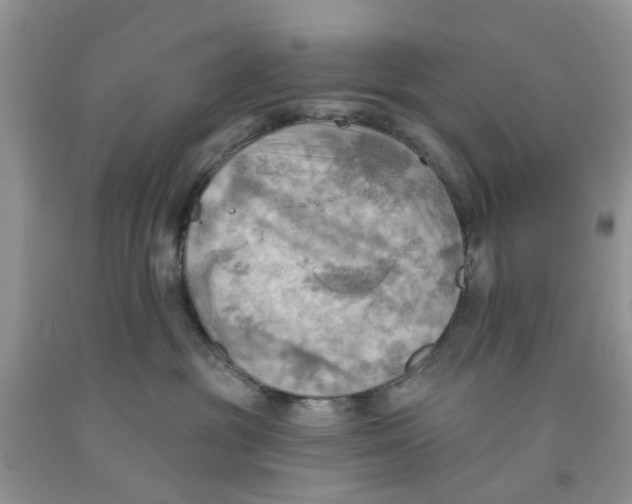 X0000091290381200709071037