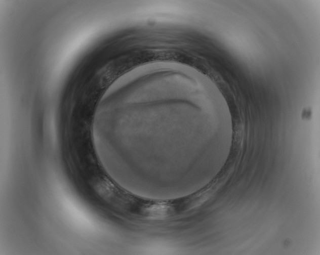 X0000091290383200709071037