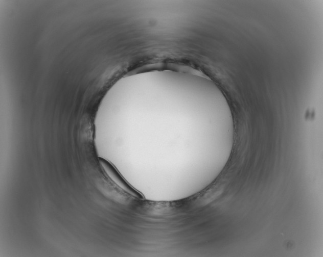 X0000091290384200709071037