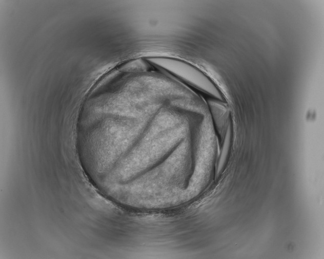 X0000091290385200709071036