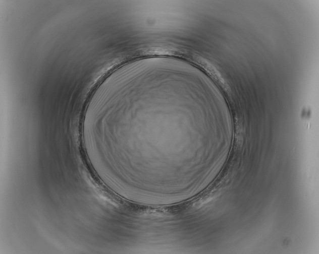 X0000091290386200709071036