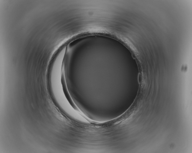 X0000091290391200709071036