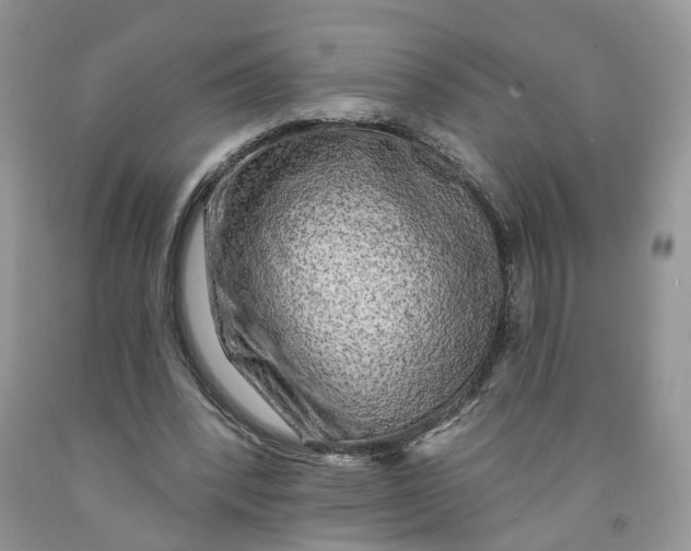 X0000091290392200709071036