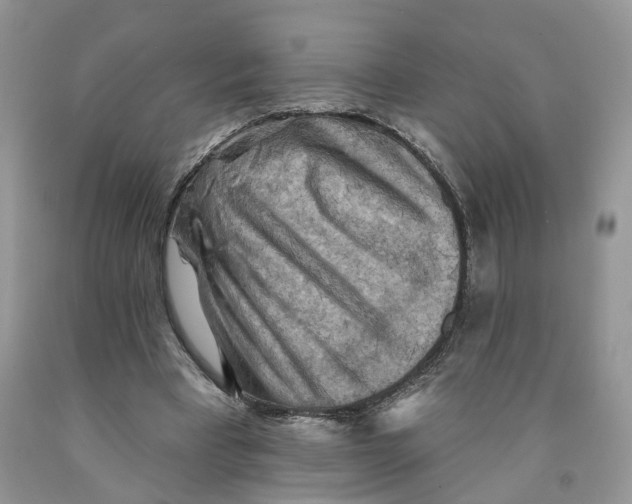 X0000091290393200709071036