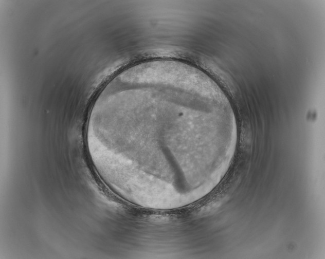 X0000091290394200709071036