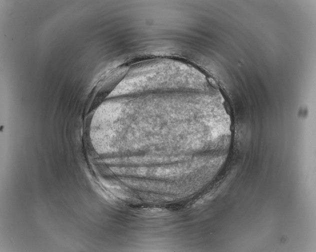 X0000091290397200709071036