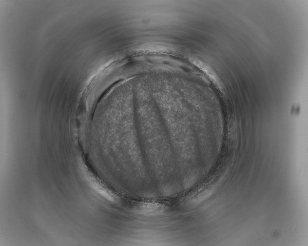 X0000091290399200709071036