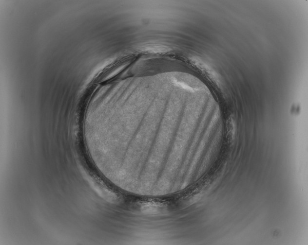 X0000091290400200709071036